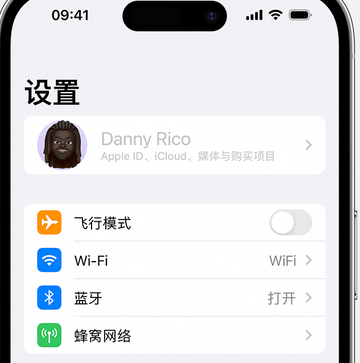 馆陶appleID维修服务iPhone设置中Apple ID显示为灰色无法使用 