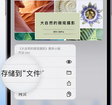 馆陶apple维修中心分享iPhone文件应用中存储和找到下载文件