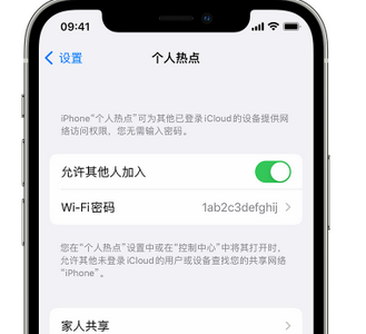 馆陶apple服务站点分享iPhone上个人热点丢失了怎么办 