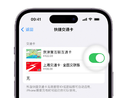 馆陶apple维修点分享iPhone上更换Apple Pay快捷交通卡手绘卡面 