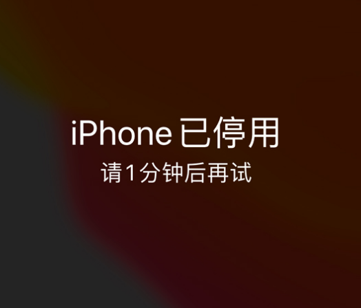 馆陶苹果手机维修分享:iPhone 显示“不可用”或“已停用”怎么办？还能保留数据吗？ 