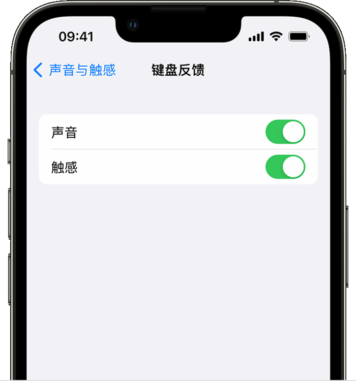 馆陶苹果14维修店分享如何在 iPhone 14 机型中使用触感键盘 