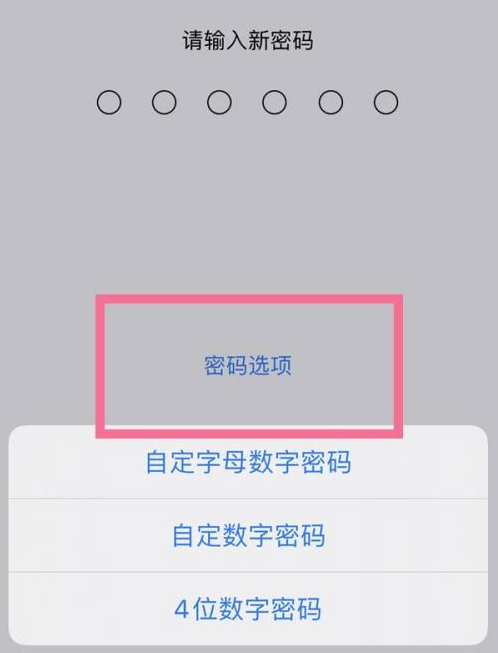 馆陶苹果14维修分享iPhone 14plus设置密码的方法 