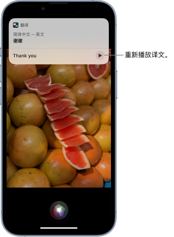 馆陶苹果14维修分享 iPhone 14 机型中使用 Siri：了解 Siri 能帮你做什么 