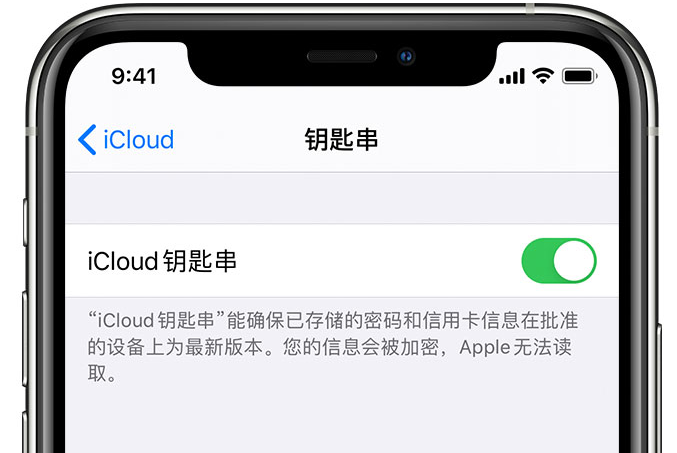 馆陶苹果手机维修分享在 iPhone 上开启 iCloud 钥匙串之后会储存哪些信息 