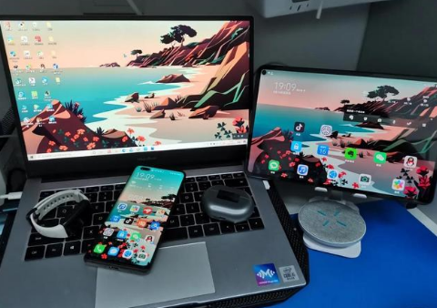 馆陶苹果手机维修分享为什么iPad屏幕更大价格却比iPhone低 