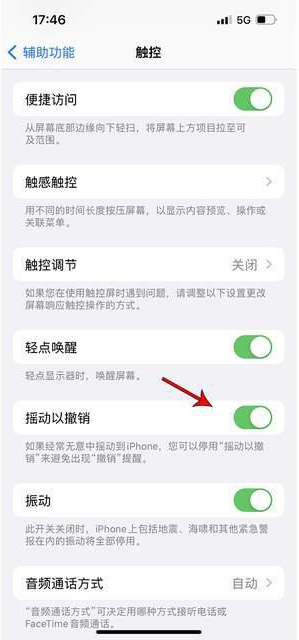 馆陶苹果手机维修分享iPhone手机如何设置摇一摇删除文字 