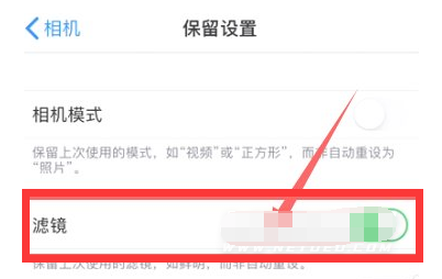 馆陶苹果13维修分享iPhone13拍照有绿点是怎么回事 