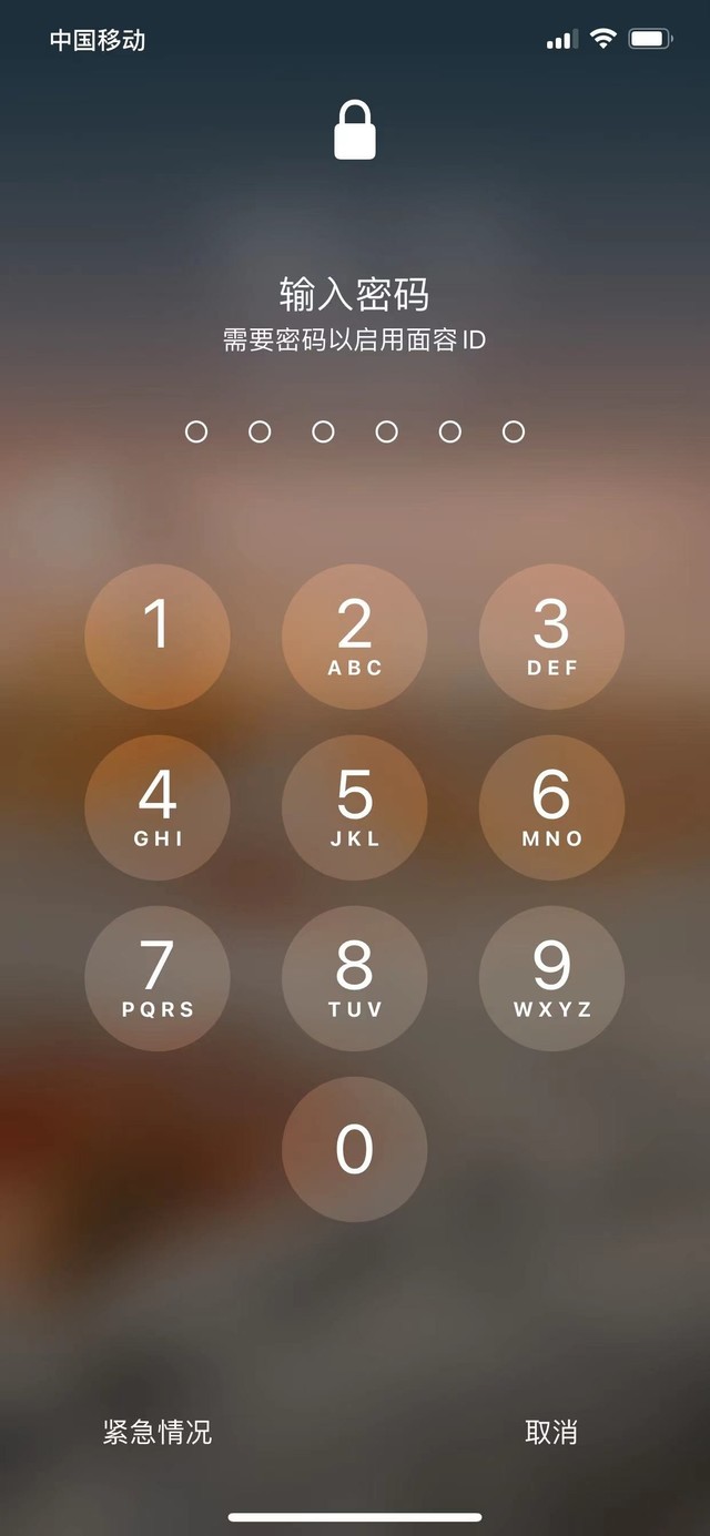 馆陶苹果13维修分享iPhone 13加强锁屏功能有什么用 