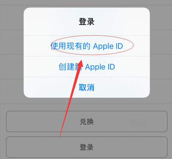 馆陶苹果手机维修分享两台iPhone设备可以同时登录一个Apple ID吗 