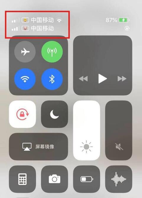 馆陶苹果手机维修分享为 iPhone 12 双卡设置标签 
